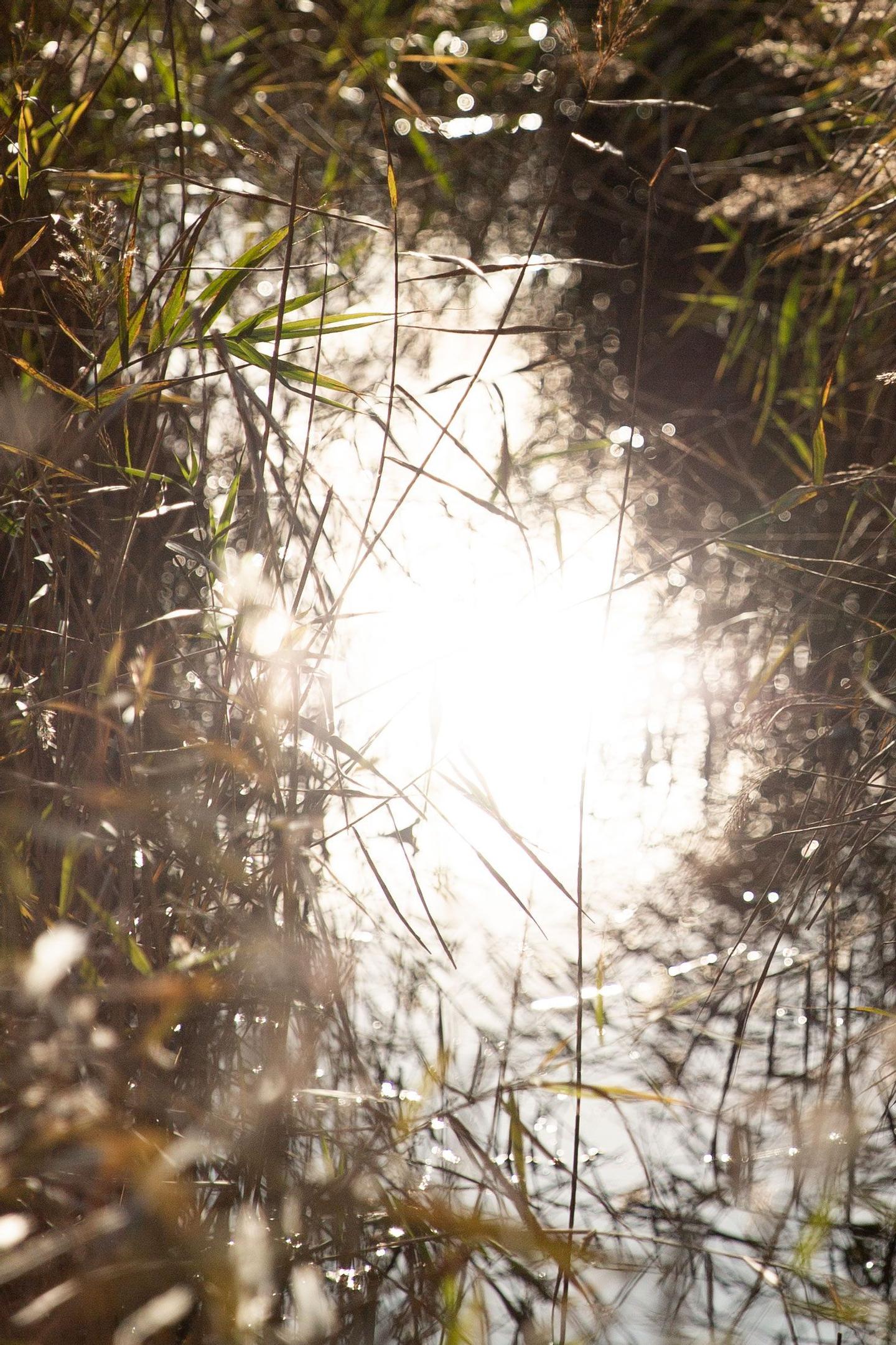 Praxis Kompetenzen: Schmerzzustände, Ernährungsberatung, Leistungsfähigkeit, Stoffwechselerkrankungen, chronische Erkrankungen, Betreuung von Sportlern & Check-Up