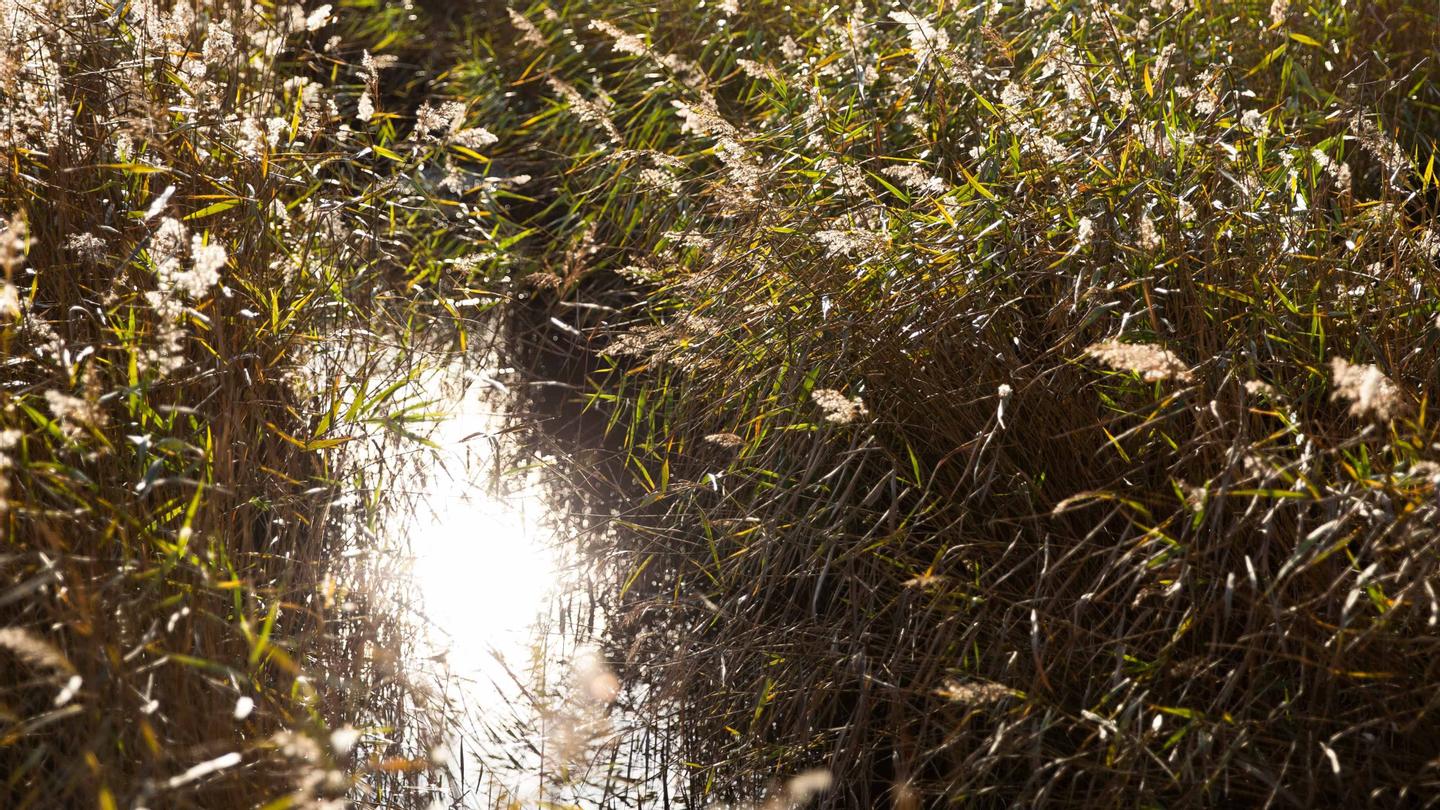 Titelbild der Praxis für Osteopathie mikromakro