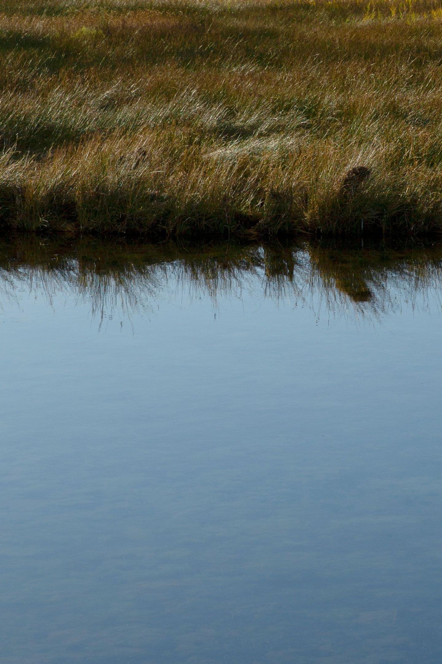 Unser Behandlungsansatz: Osteopathie, Kinderosteopathie und funktionelle Medizin